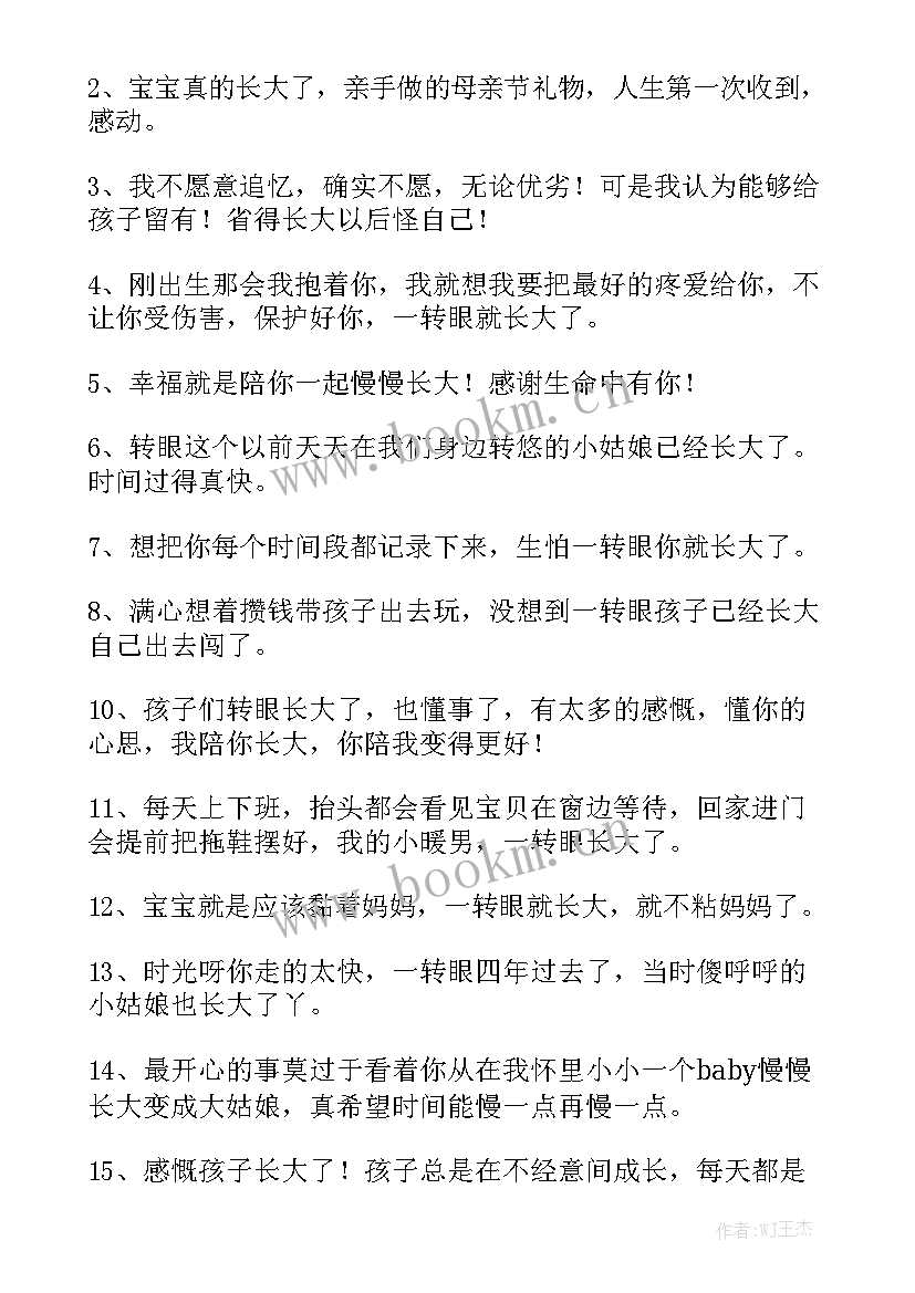 2023年工作总结用一句诗形容自己 用一句话形容夏天的景色模板