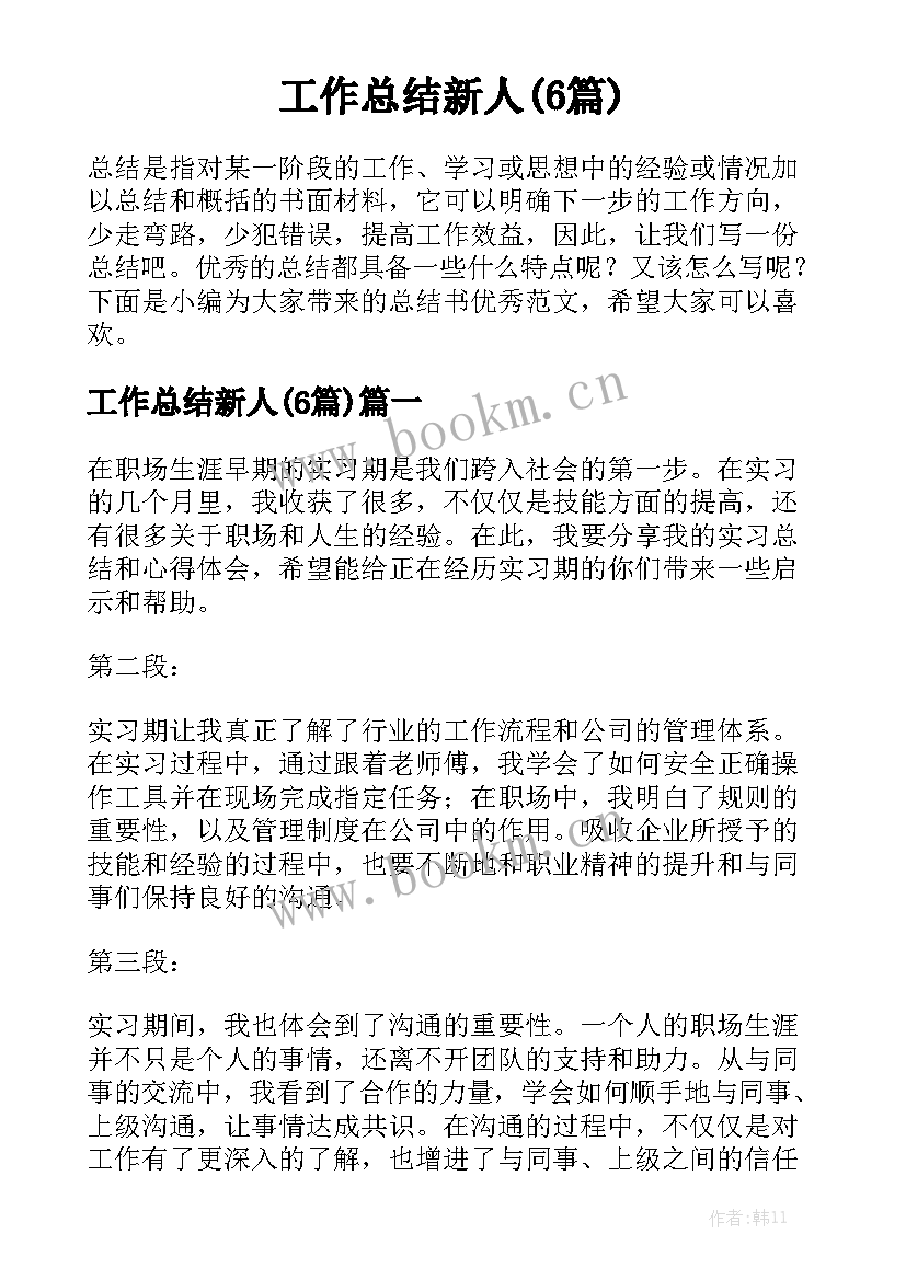 工作总结新人(6篇)