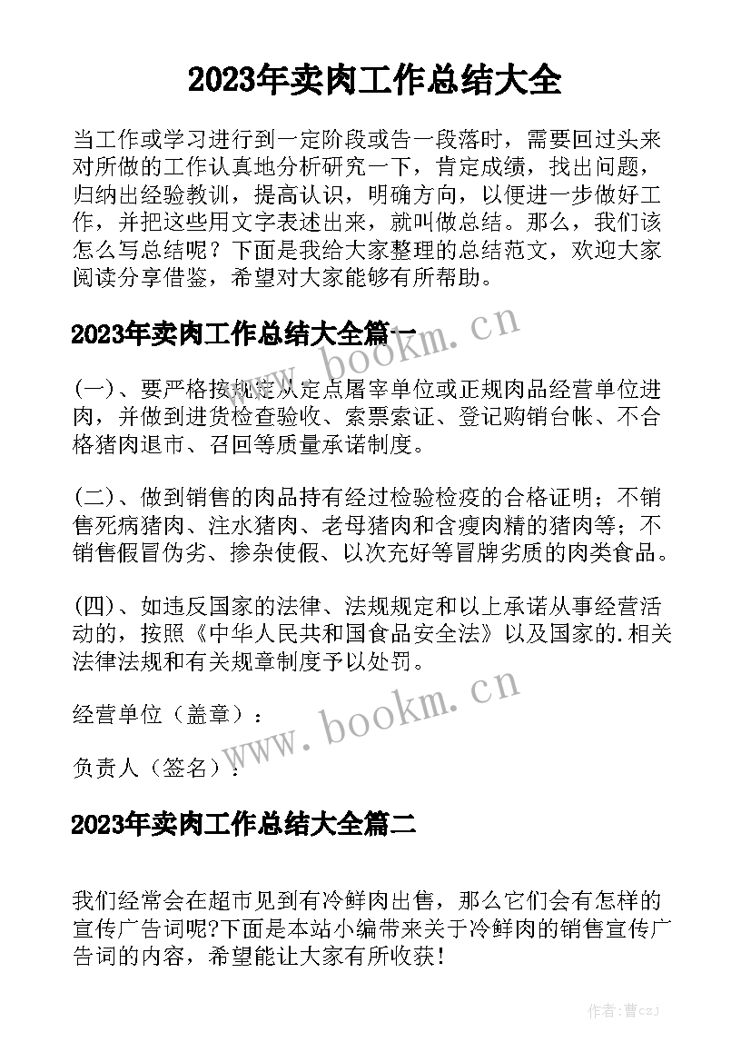 2023年卖肉工作总结大全