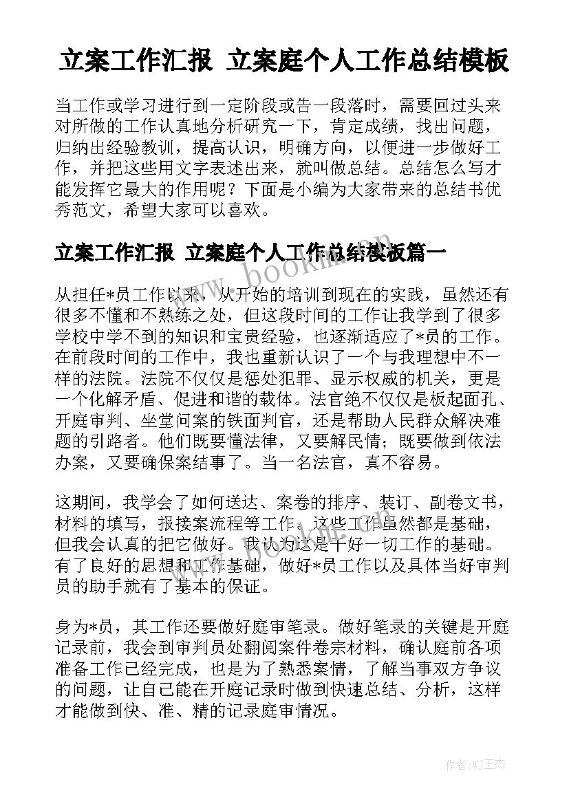 立案工作汇报 立案庭个人工作总结模板