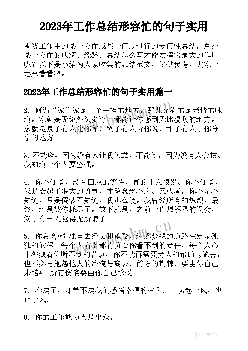 2023年工作总结形容忙的句子实用