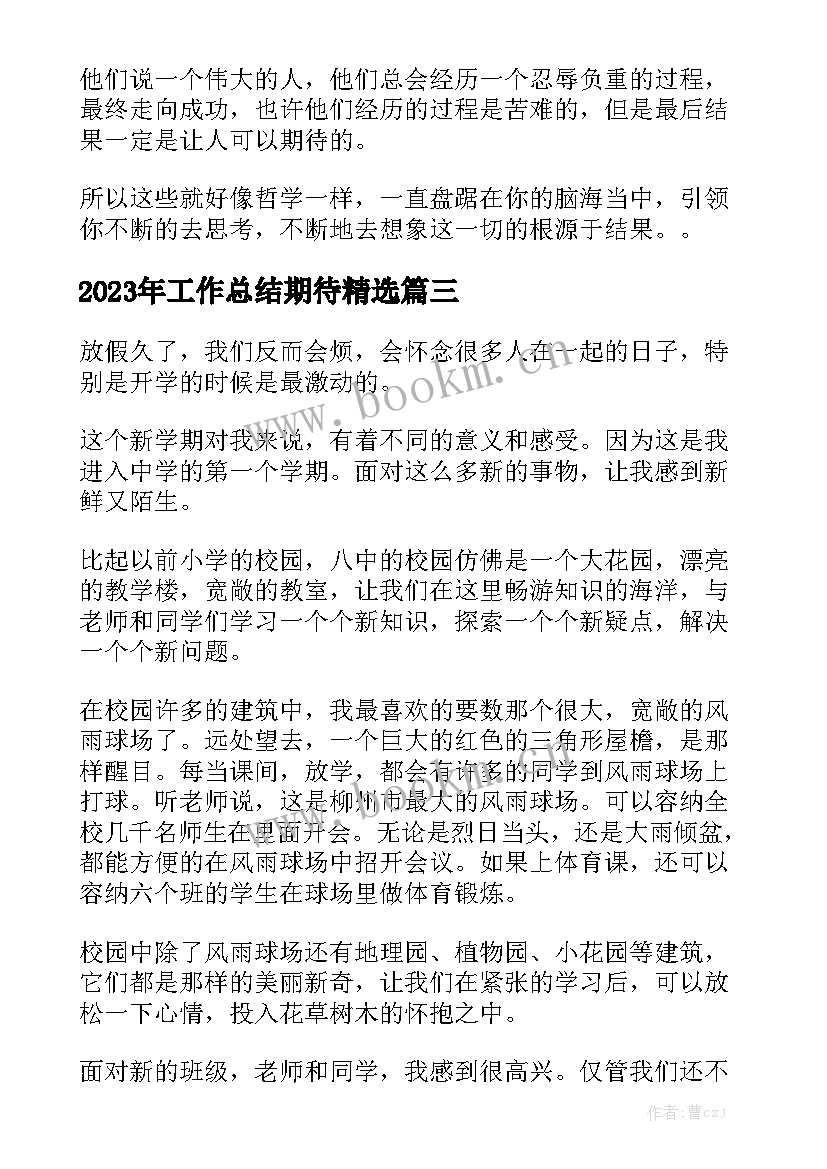 2023年工作总结期待精选