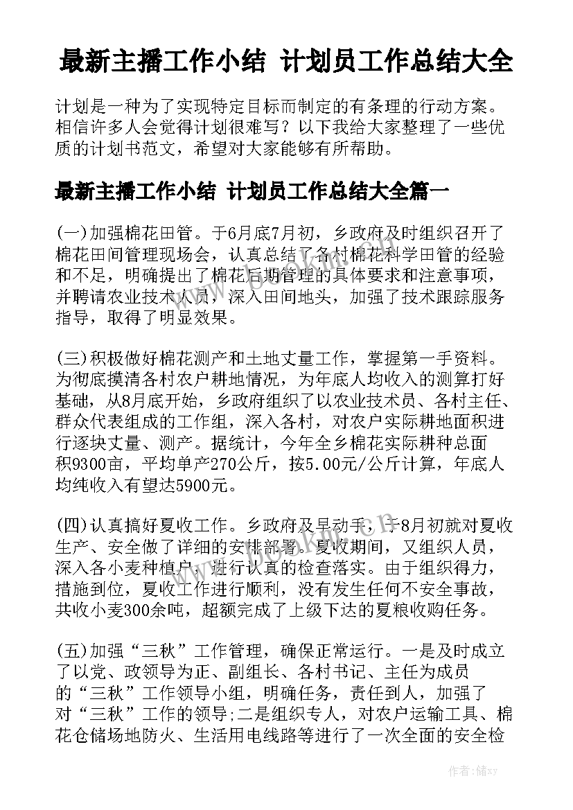 最新主播工作小结 计划员工作总结大全