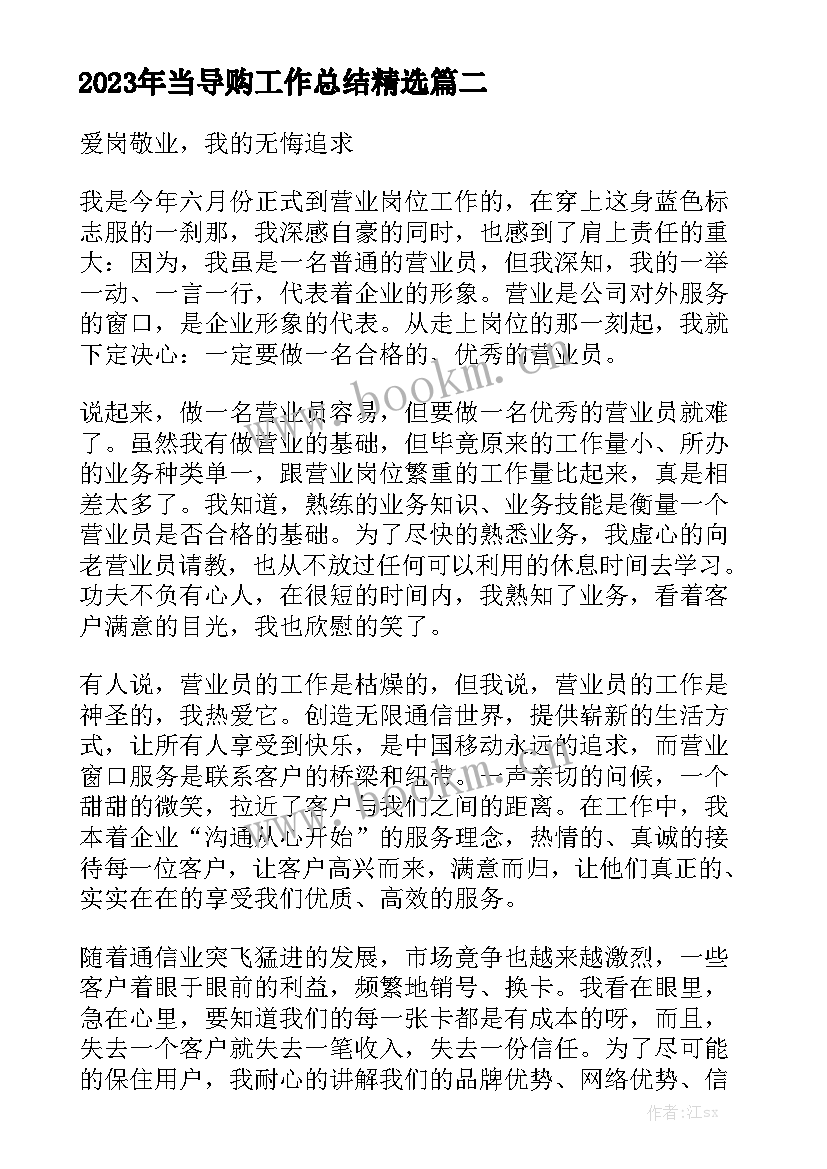 2023年当导购工作总结精选