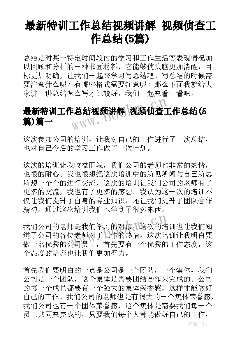 最新特训工作总结视频讲解 视频侦查工作总结(5篇)