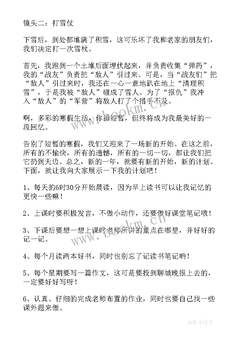 最新短期内工作总结 短暂寒假实用