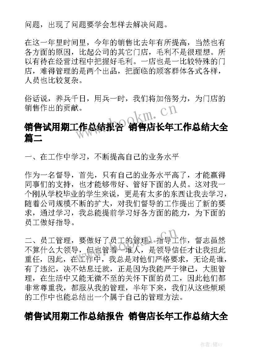 销售试用期工作总结报告 销售店长年工作总结大全