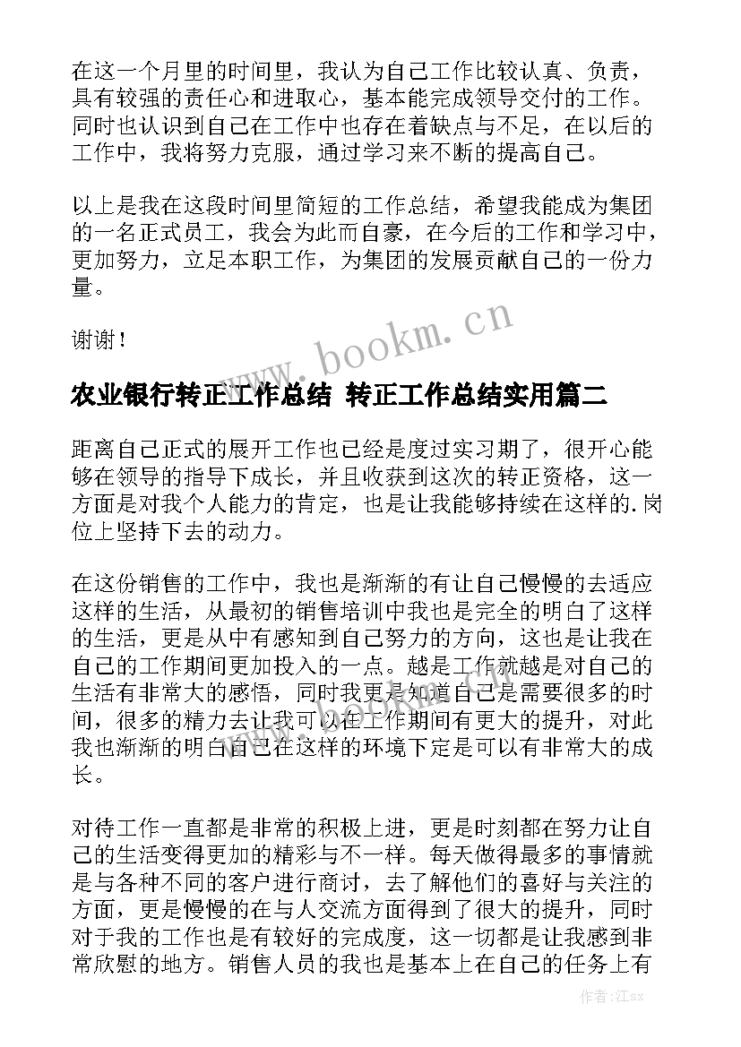 农业银行转正工作总结 转正工作总结实用