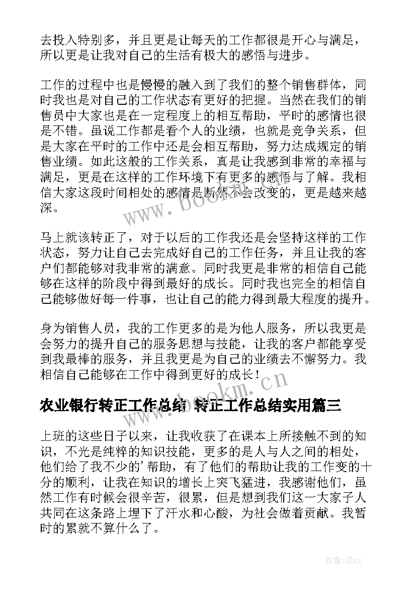 农业银行转正工作总结 转正工作总结实用