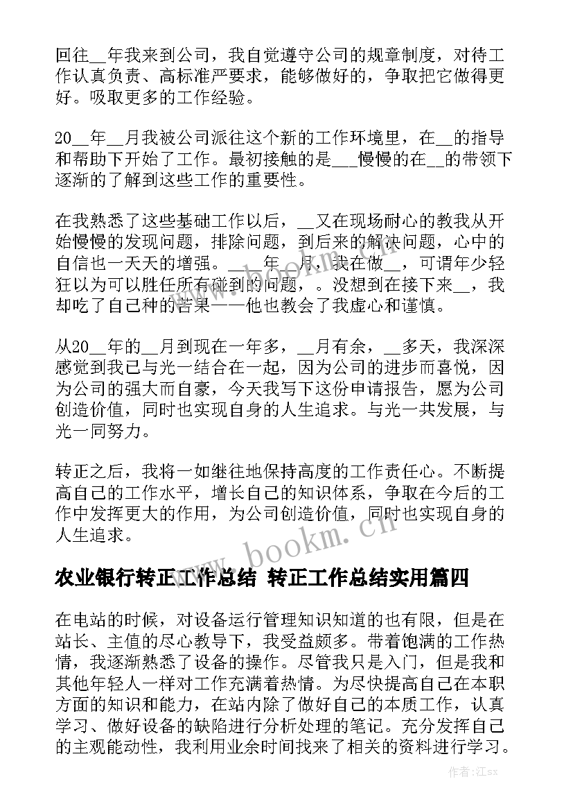 农业银行转正工作总结 转正工作总结实用