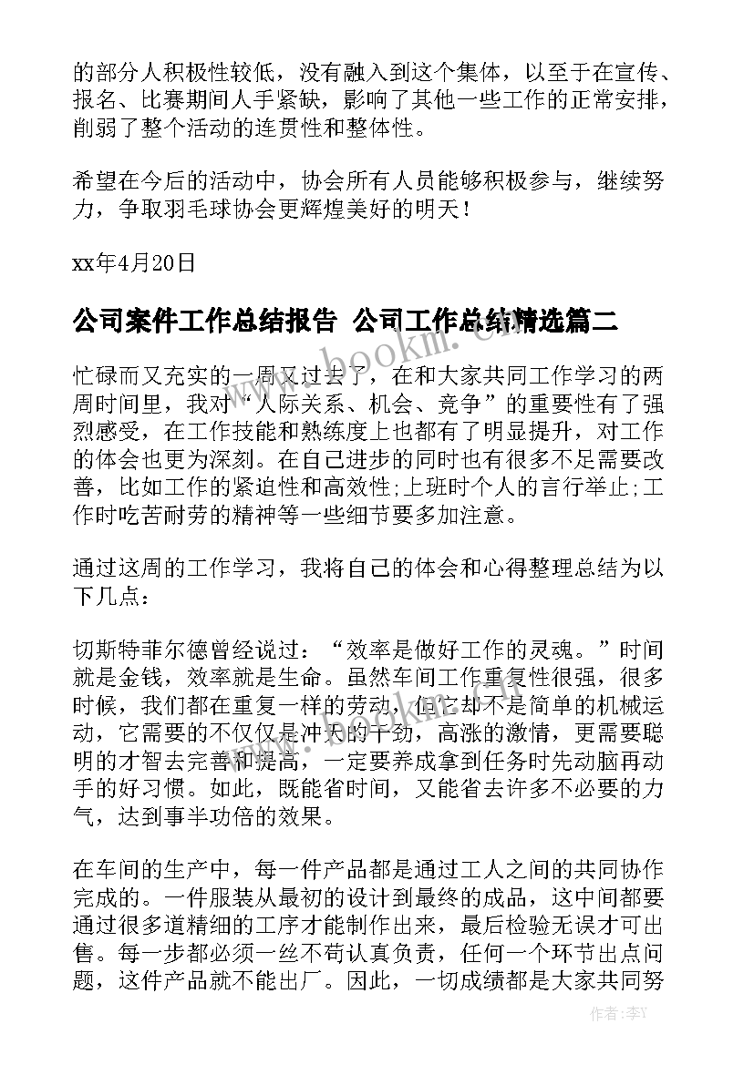 公司案件工作总结报告 公司工作总结精选