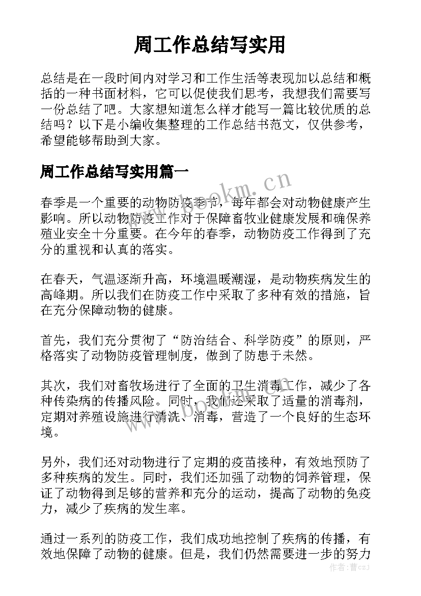 周工作总结写实用