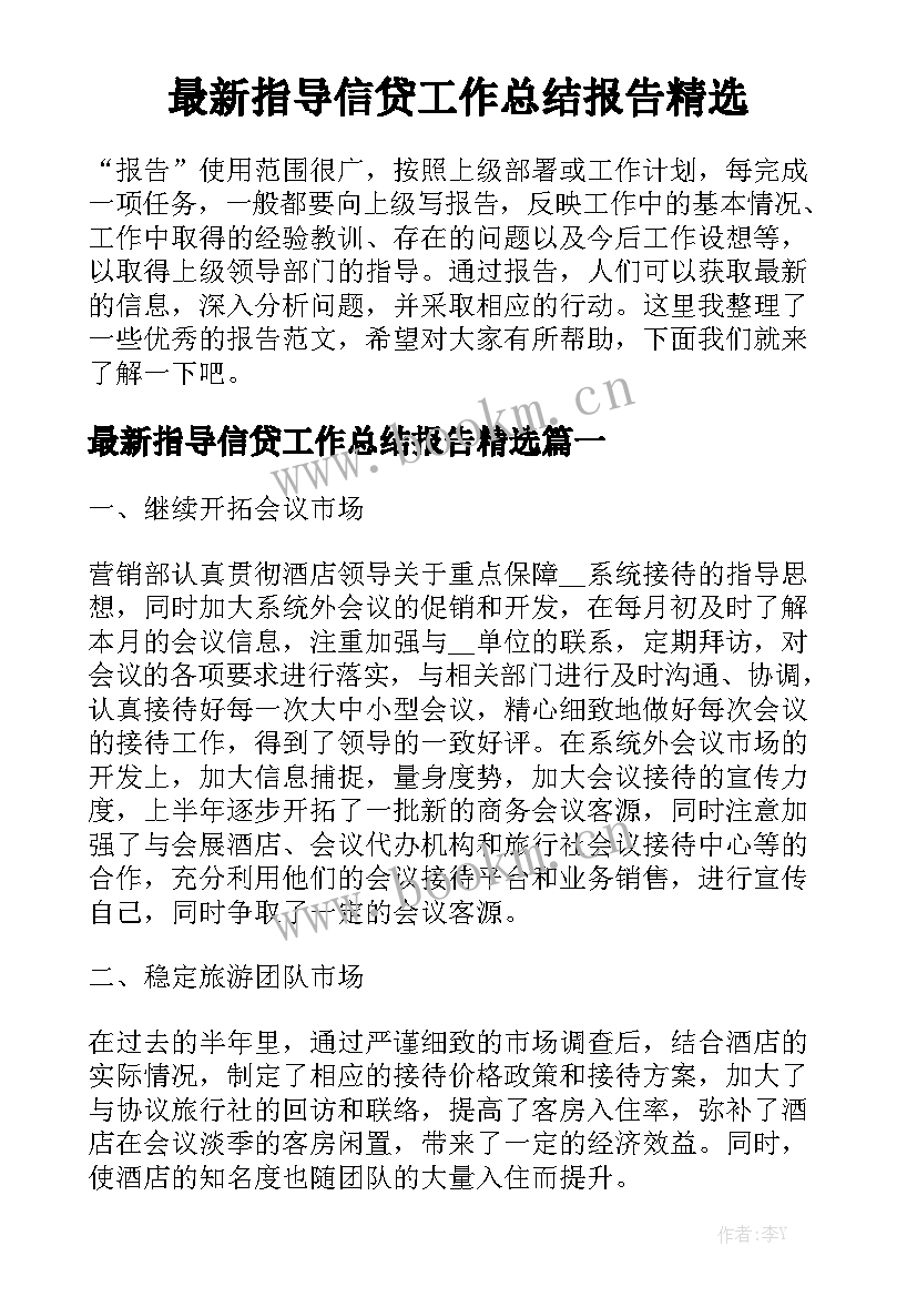 最新指导信贷工作总结报告精选