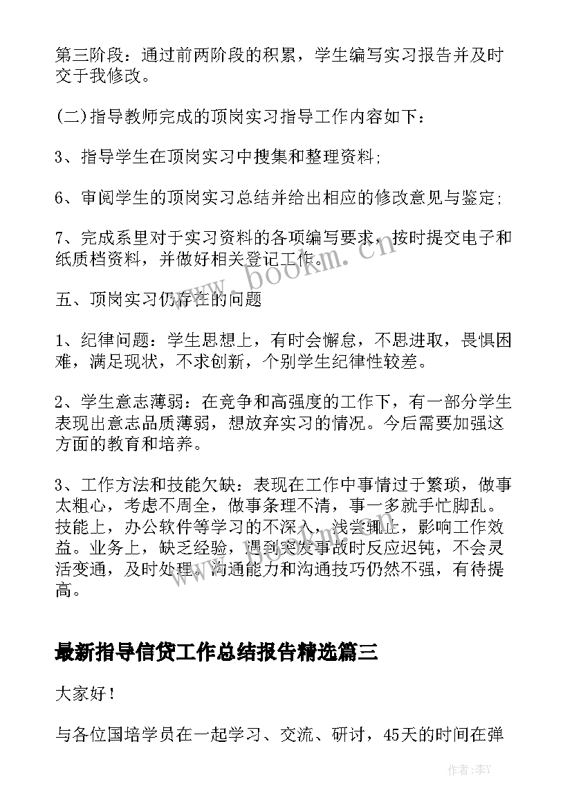 最新指导信贷工作总结报告精选