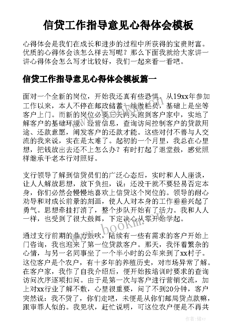 信贷工作指导意见心得体会模板