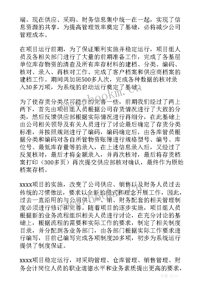 产业项目工作总结 项目工作总结精选