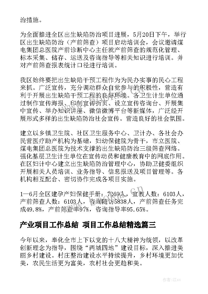 产业项目工作总结 项目工作总结精选