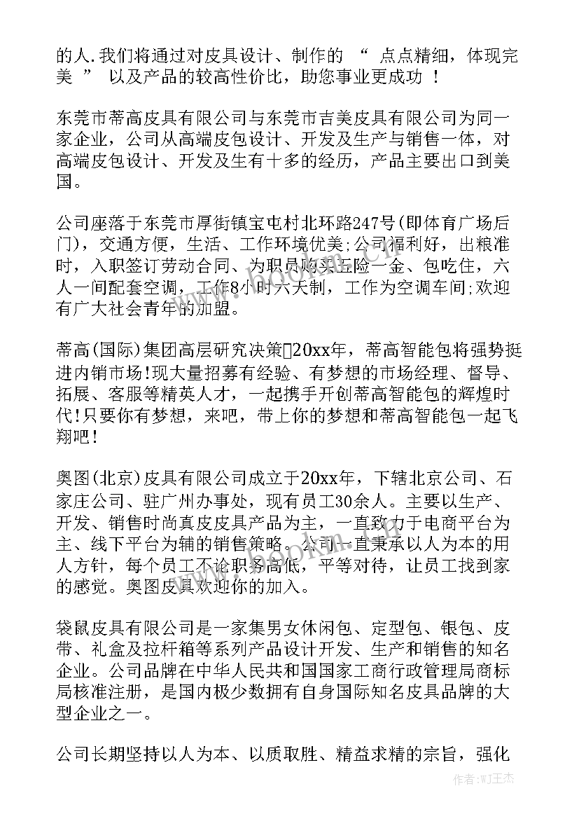 皮具工作总结大全