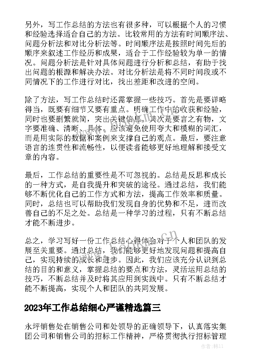 2023年工作总结细心严谨精选