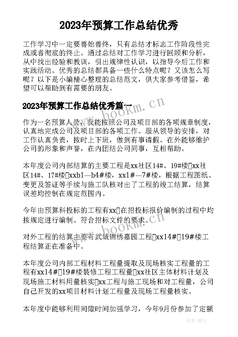 2023年预算工作总结优秀