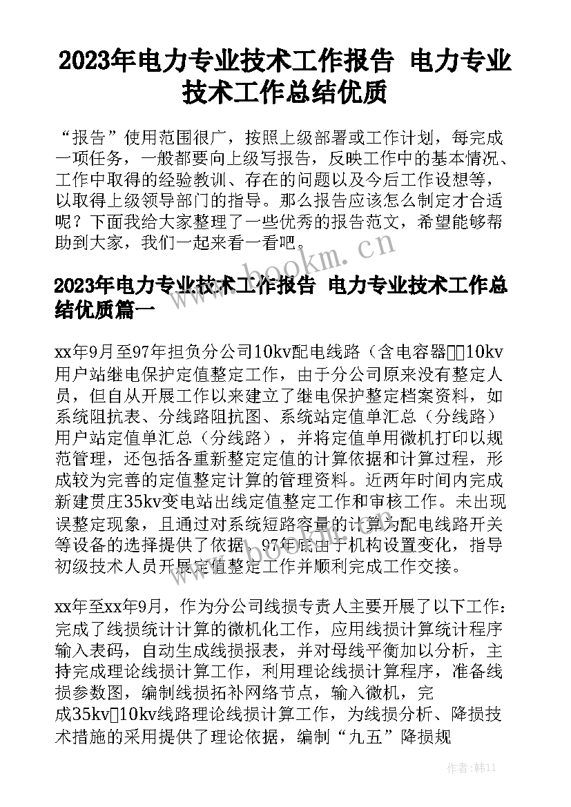 2023年电力专业技术工作报告 电力专业技术工作总结优质