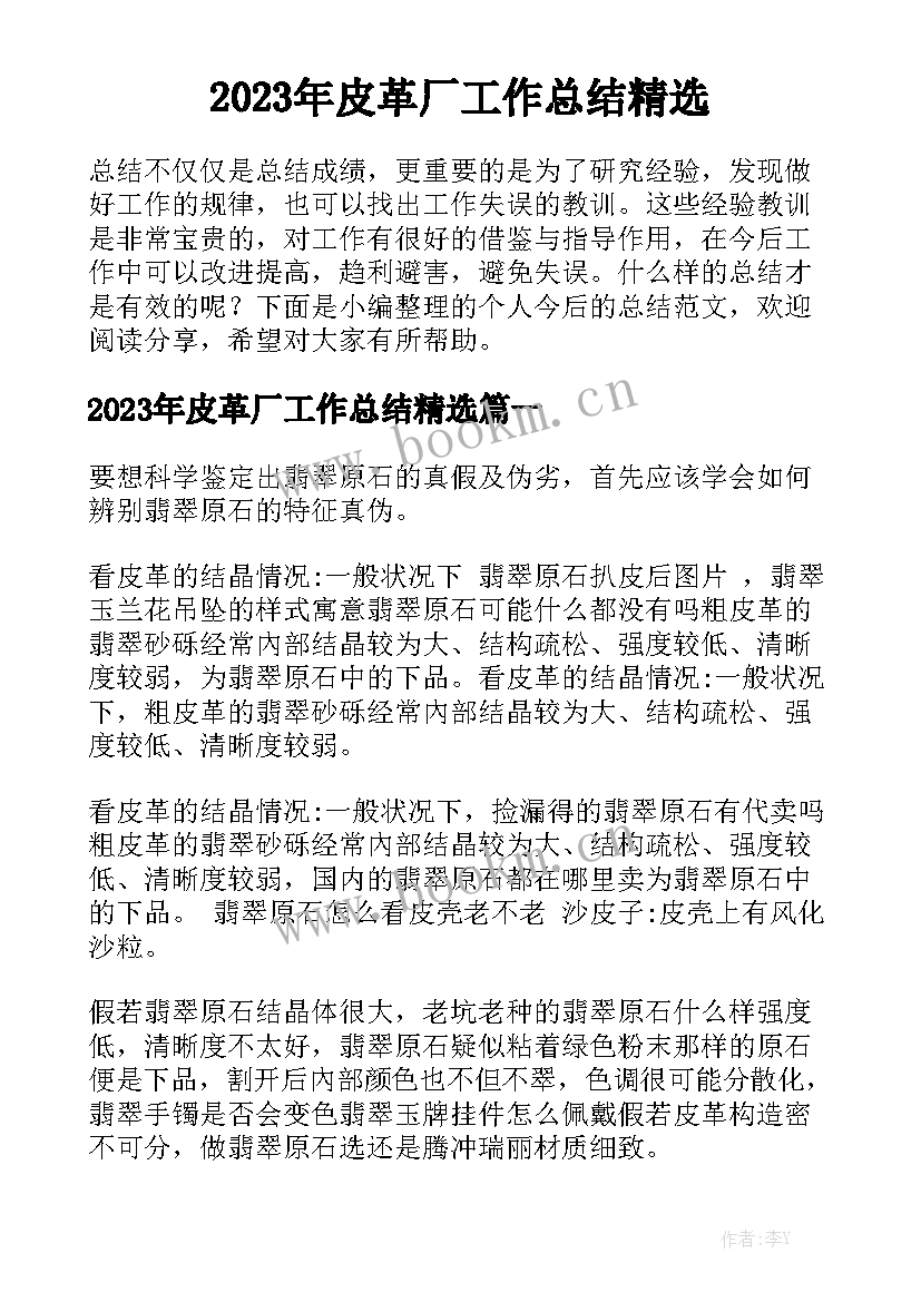 2023年皮革厂工作总结精选