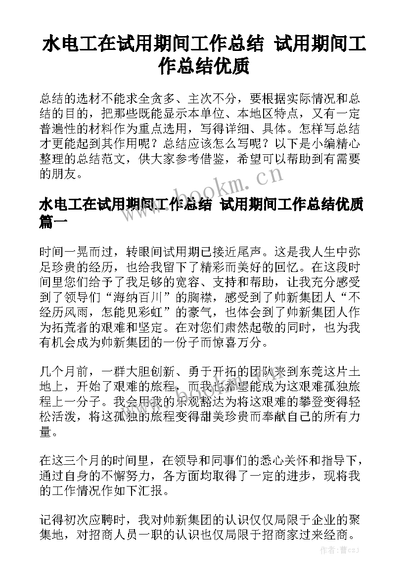 水电工在试用期间工作总结 试用期间工作总结优质