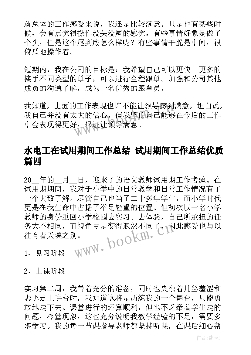 水电工在试用期间工作总结 试用期间工作总结优质