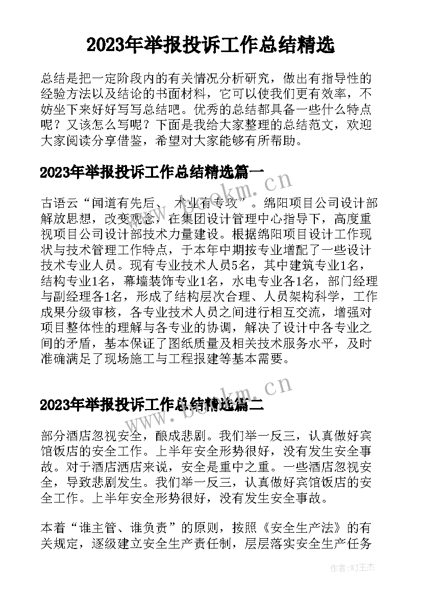 2023年举报投诉工作总结精选