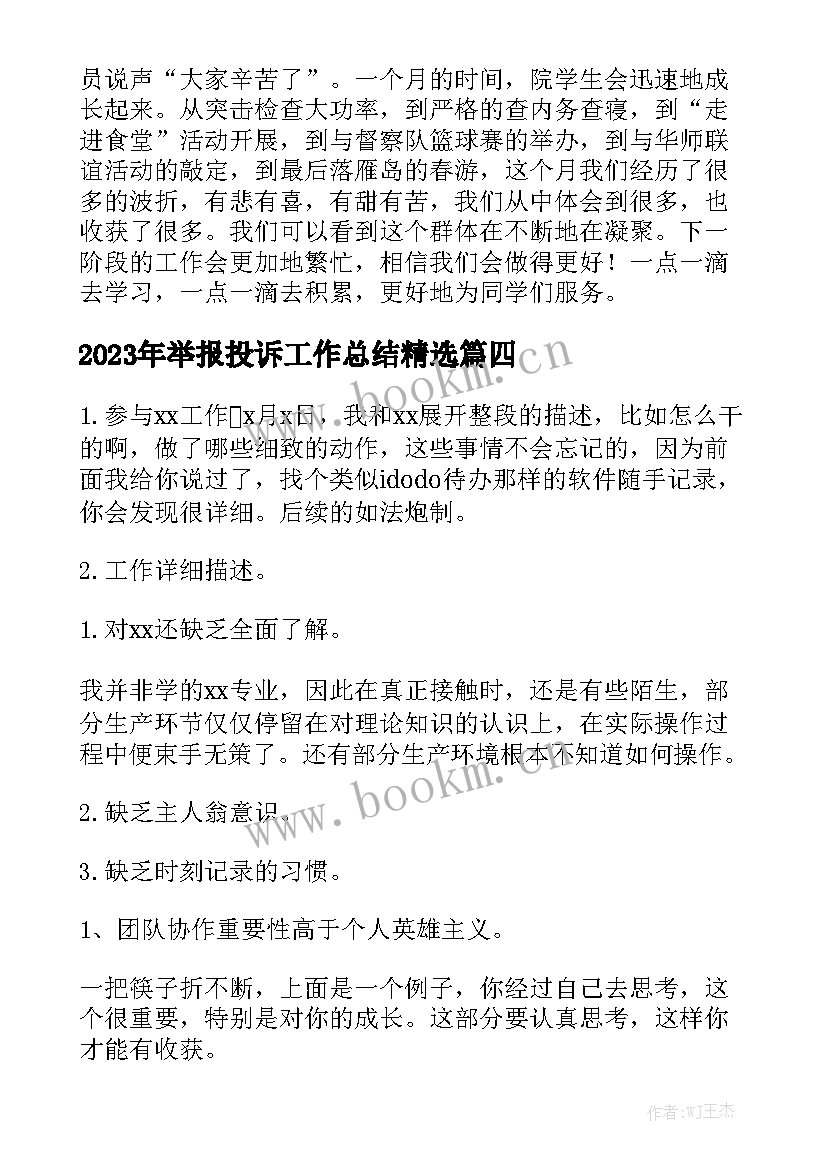 2023年举报投诉工作总结精选