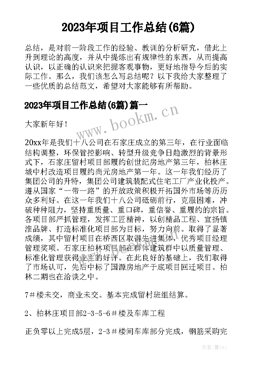 2023年项目工作总结(6篇)