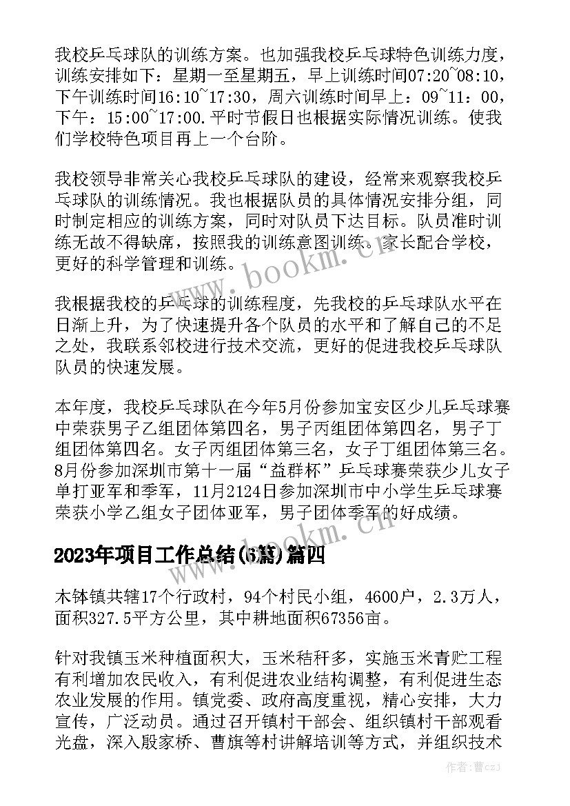 2023年项目工作总结(6篇)