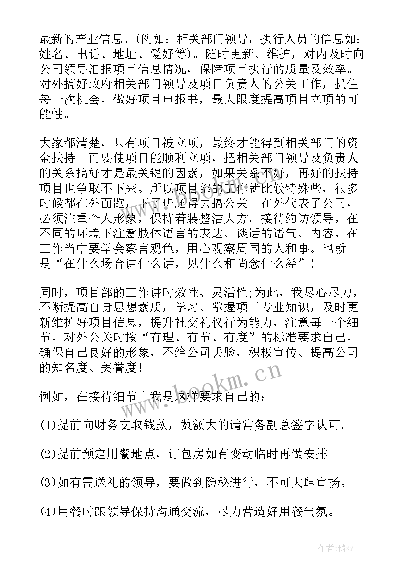 2023年项目工作总结报告精选