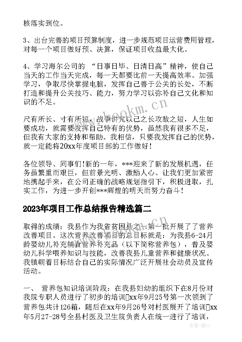 2023年项目工作总结报告精选