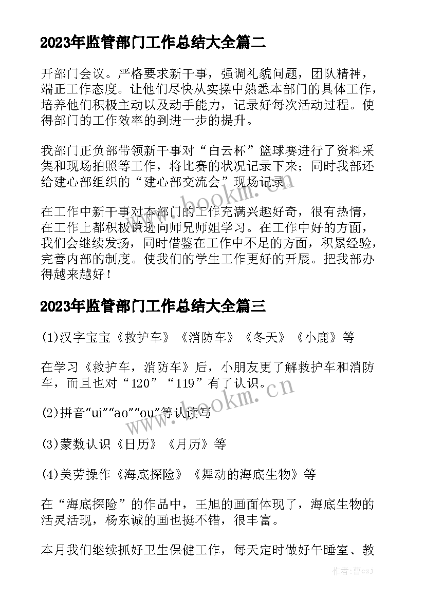 2023年监管部门工作总结大全