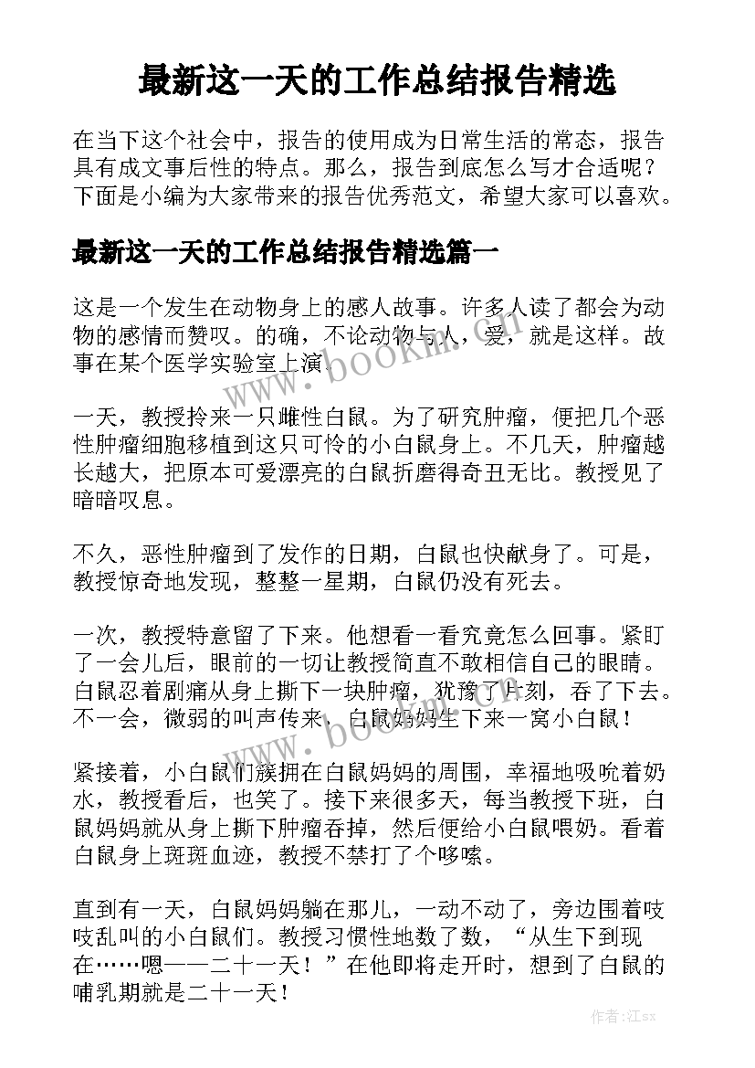 最新这一天的工作总结报告精选