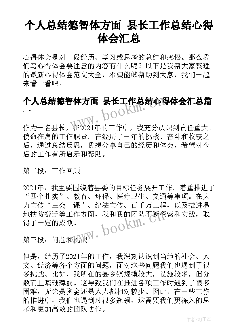 个人总结德智体方面 县长工作总结心得体会汇总