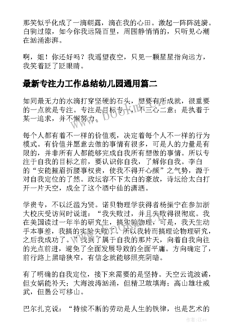 最新专注力工作总结幼儿园通用