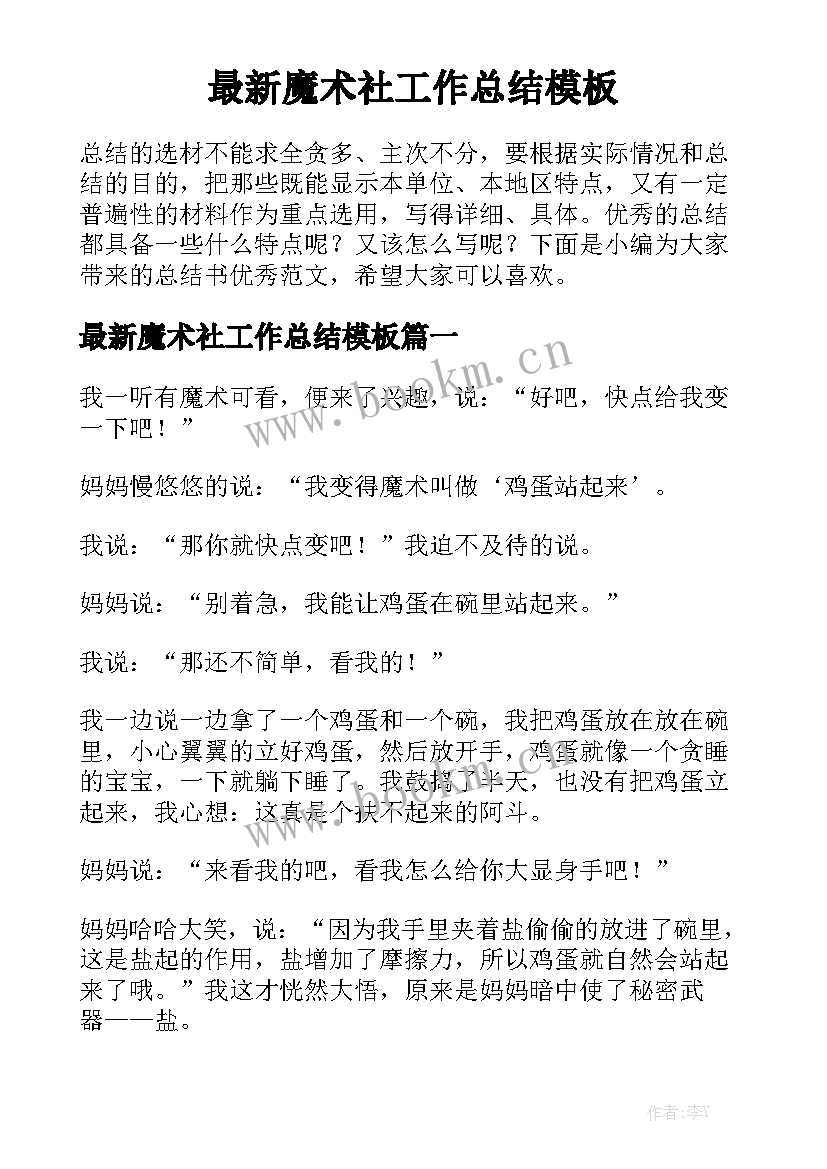 最新魔术社工作总结模板