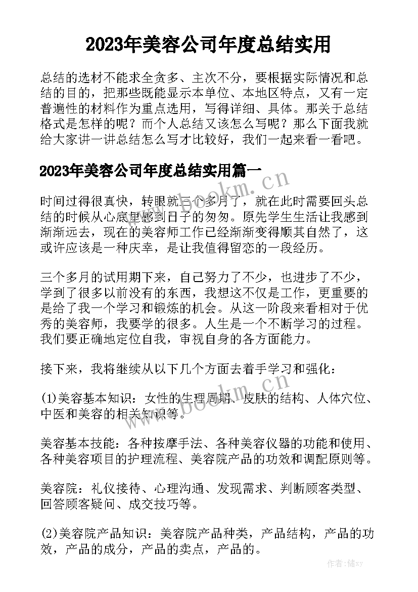 2023年美容公司年度总结实用