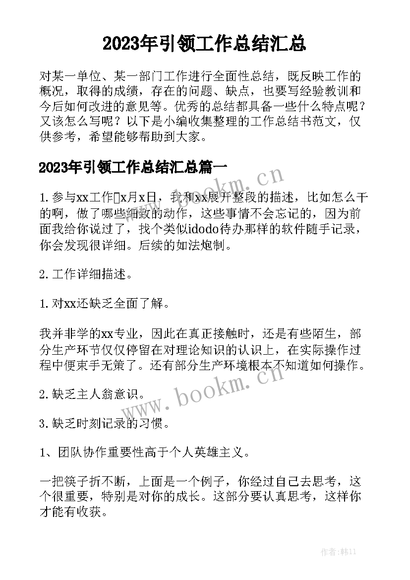 2023年引领工作总结汇总