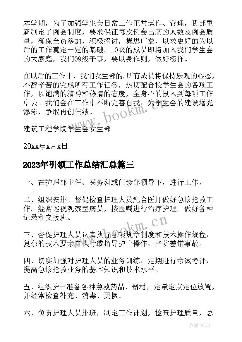 2023年引领工作总结汇总