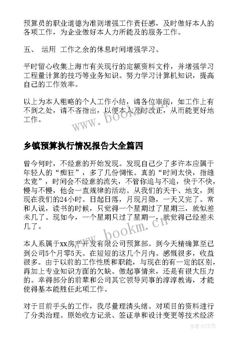 乡镇预算执行情况报告大全