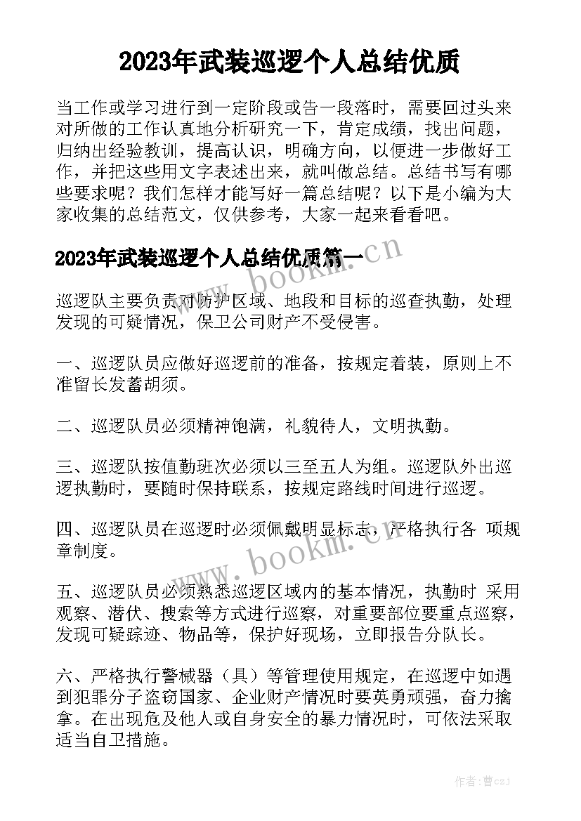 2023年武装巡逻个人总结优质