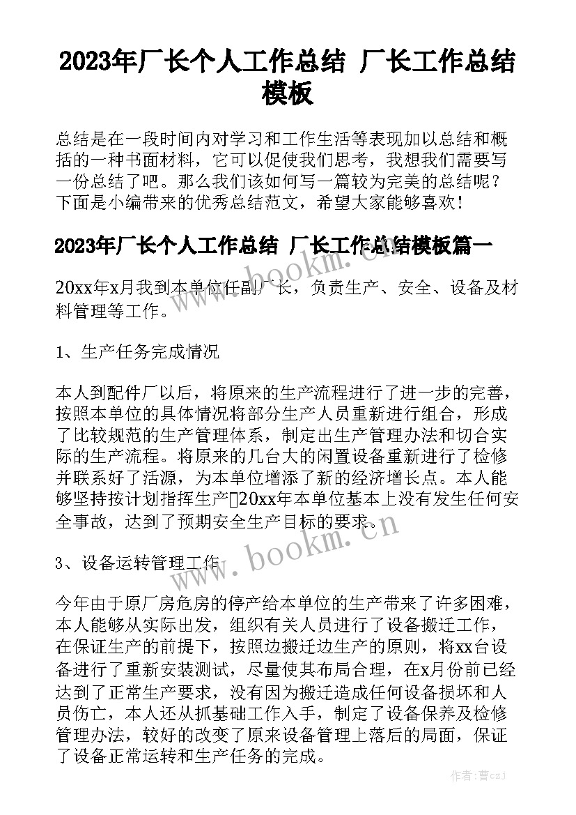 2023年厂长个人工作总结 厂长工作总结模板