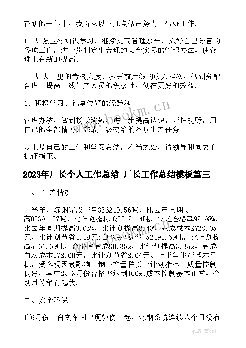 2023年厂长个人工作总结 厂长工作总结模板