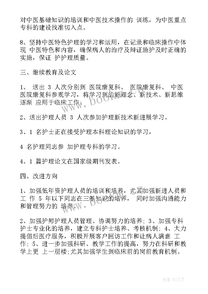 2023年脑病科护士工作总结与计划模板