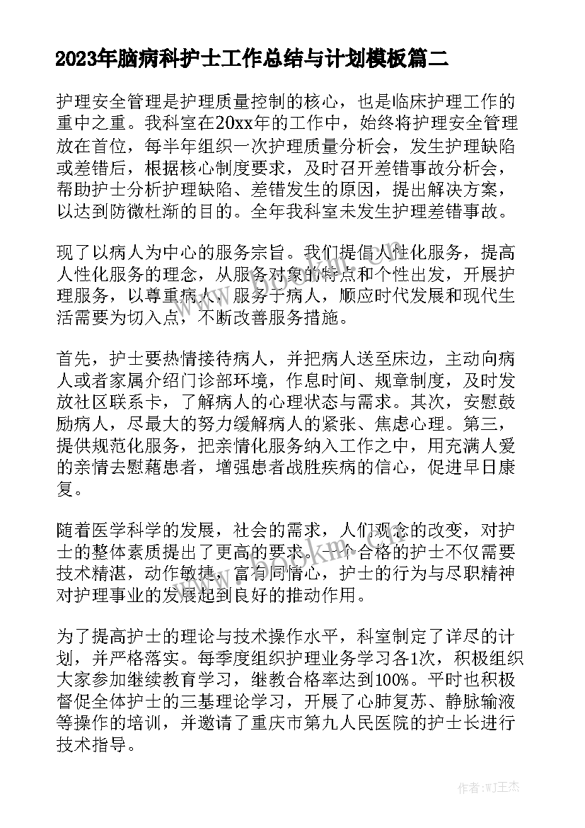 2023年脑病科护士工作总结与计划模板