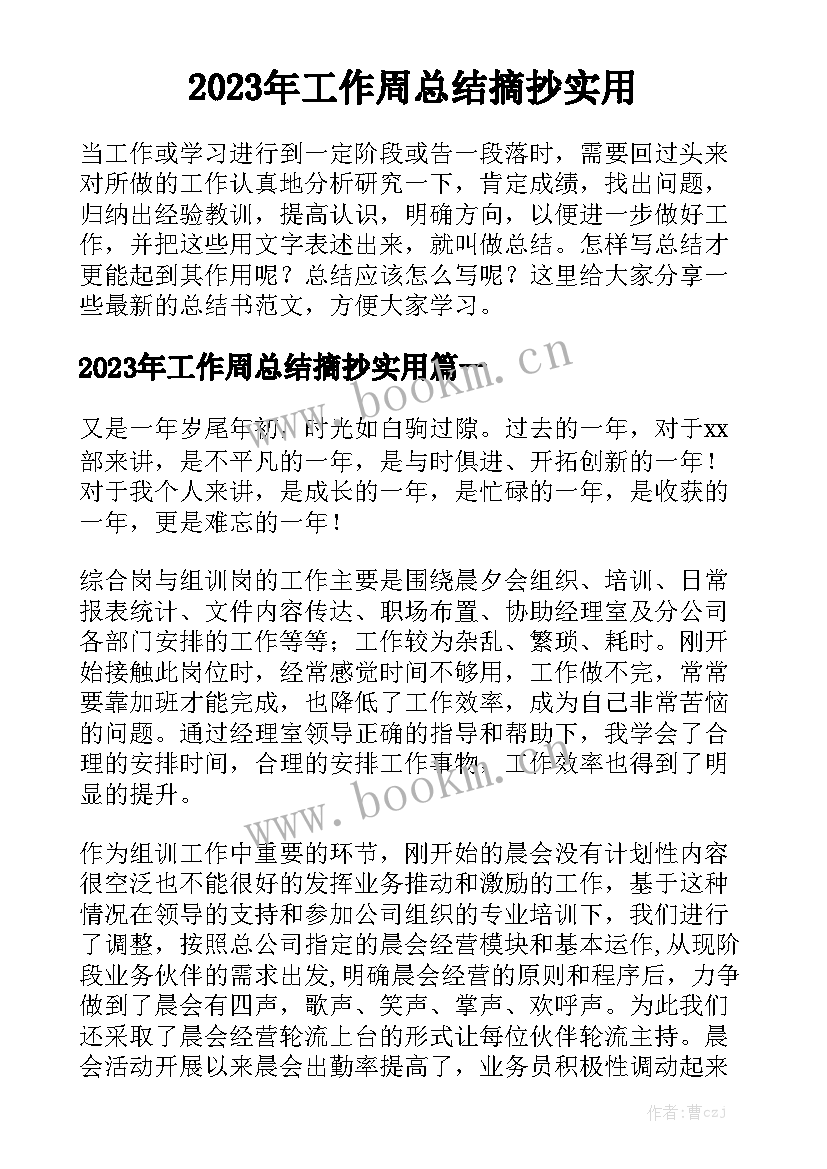 2023年工作周总结摘抄实用