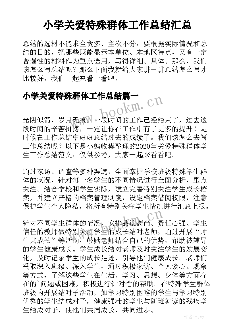 小学关爱特殊群体工作总结汇总